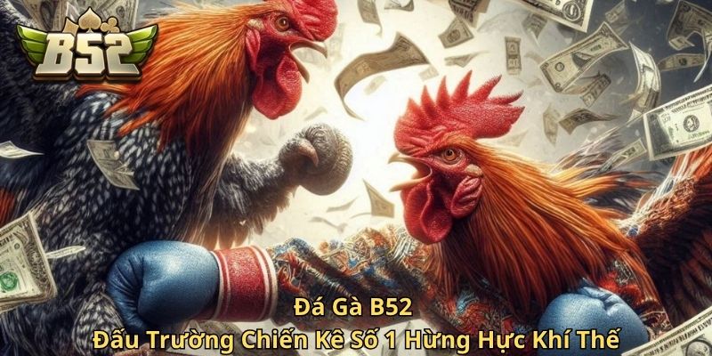 Đá Gà B52