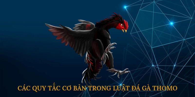 Các quy tắc cơ bản trong luật đá gà Thomo
