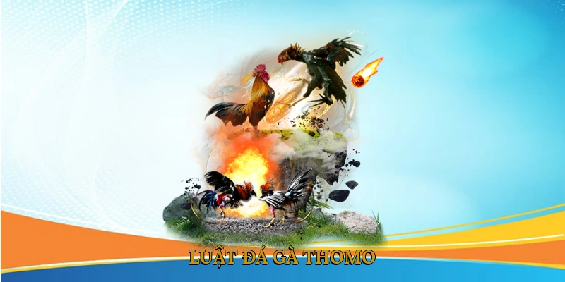 Luật đá gà Thomo